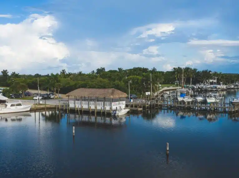 Safe Harbor Pineland Safe Harbor Marinas