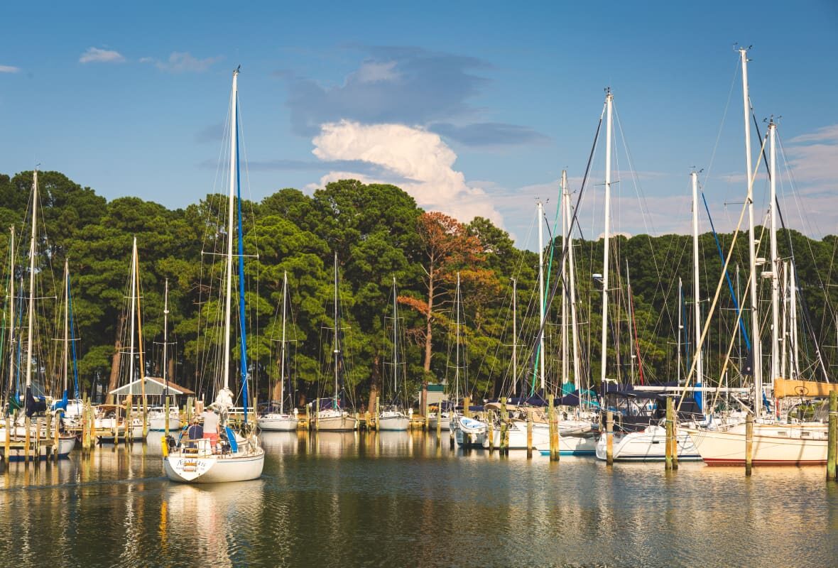 boats in a marina with trees in the background