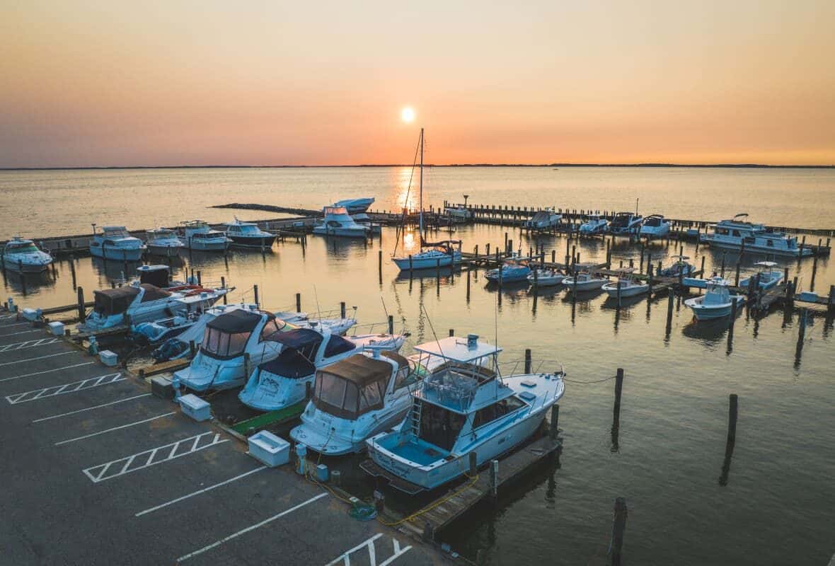 boats in a marina at sunset