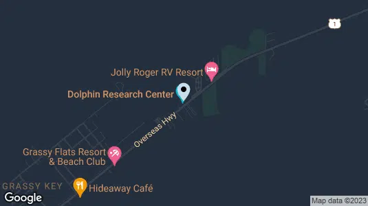 Map of Dolphin Research Center