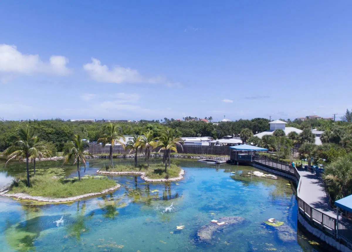 Safe Harbor Harborage Yacht Club Safe Harbor Marinas