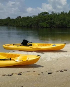 Munyon island kayaks