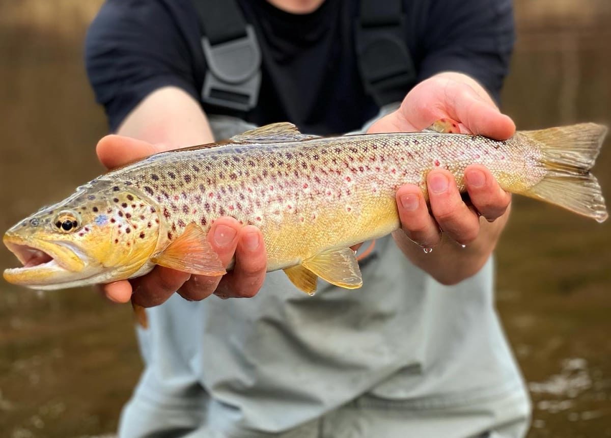 Safe Harbor Belle Maer Safe Harbor Marinas