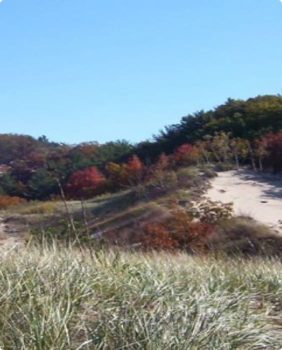 sandy and grassy hill