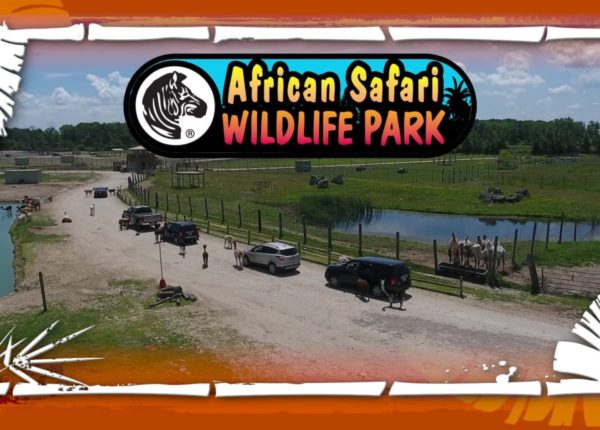 safari ride