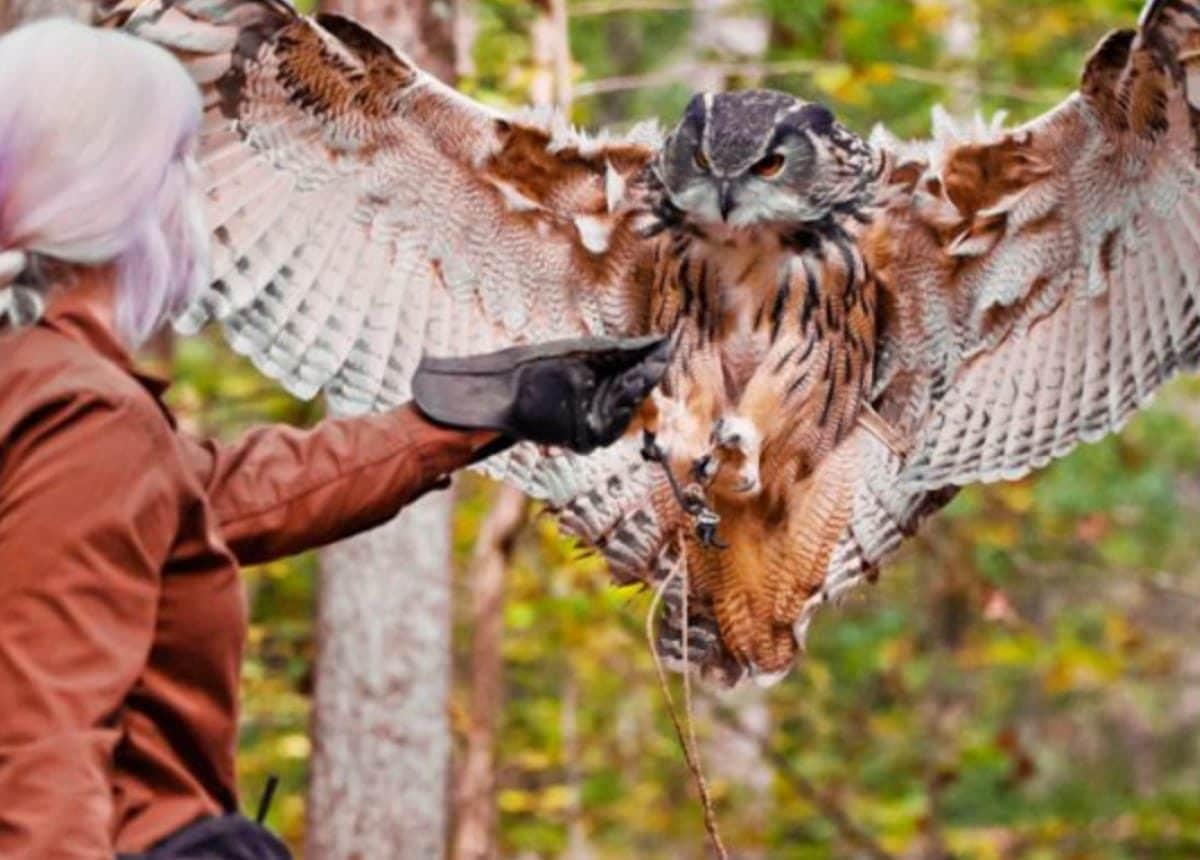 Safe Harbor Westport Safe Harbor Marinas