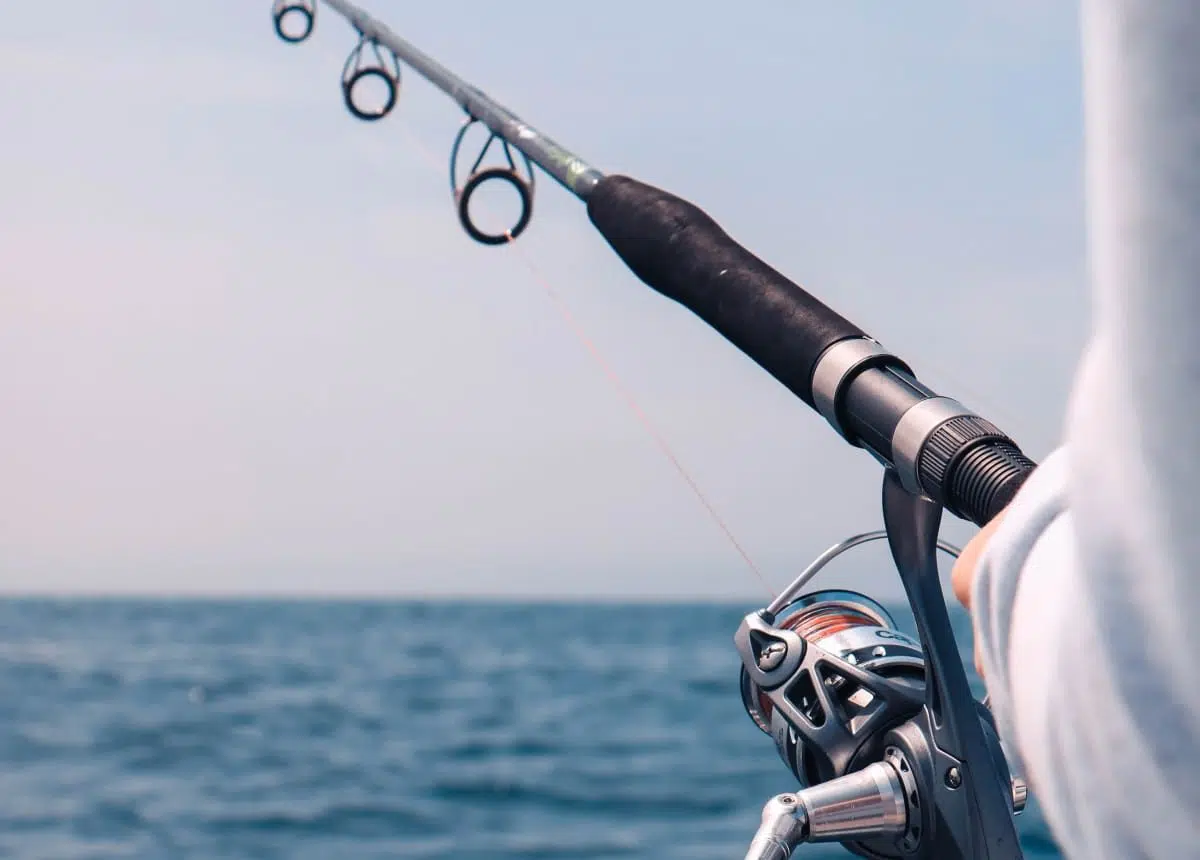 Safe Harbor Westport Safe Harbor Marinas