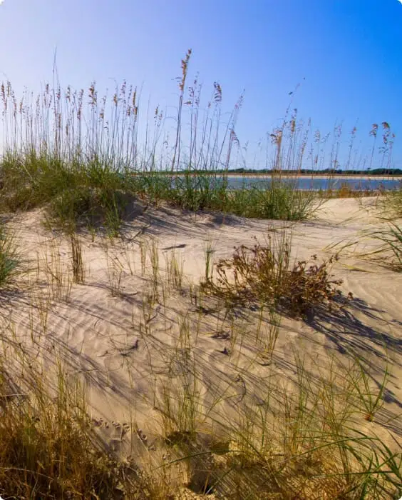 Safe Harbor Bristol Safe Harbor Marinas