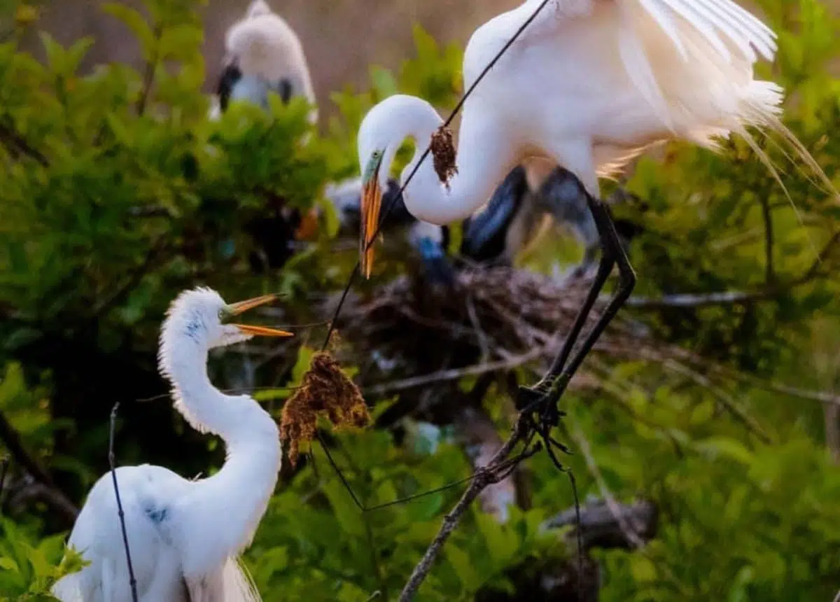 Safe Harbor Port Royal Landing Safe Harbor Marinas