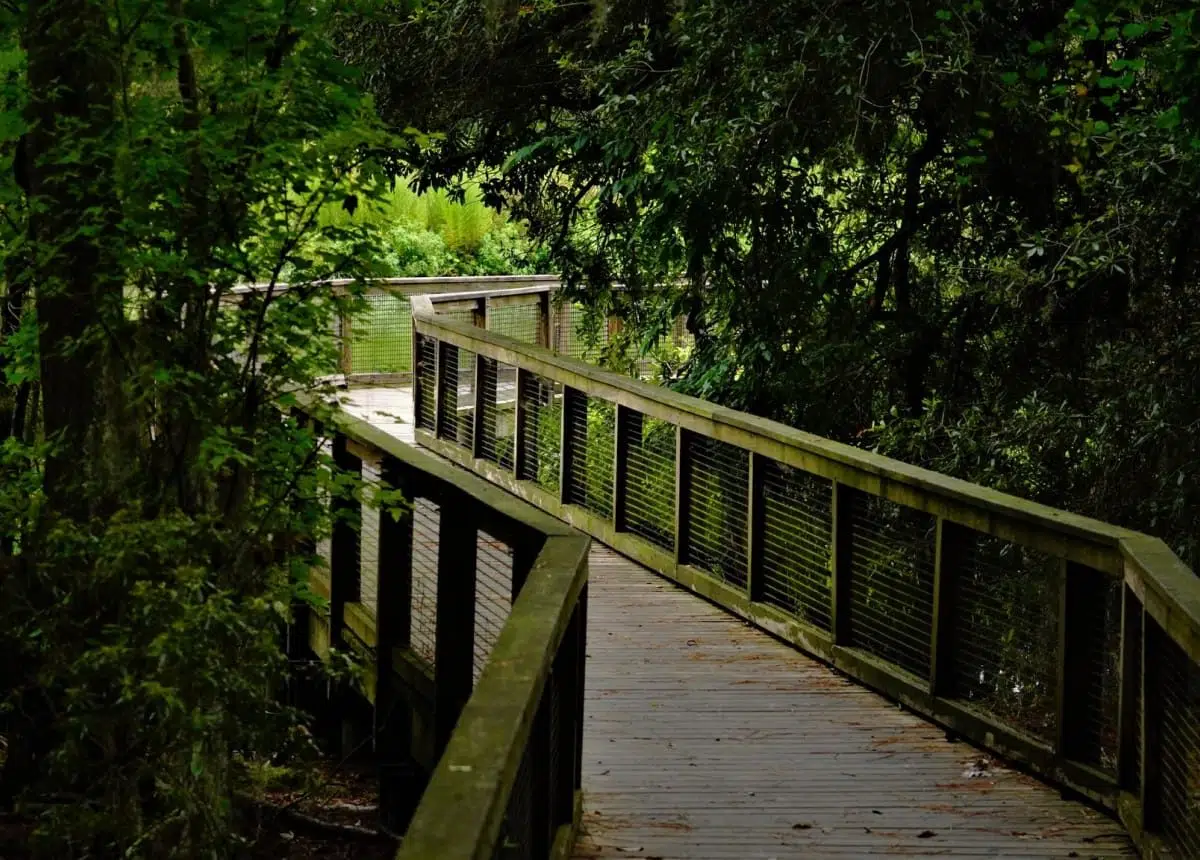 Safe Harbor Port Royal Landing Safe Harbor Marinas