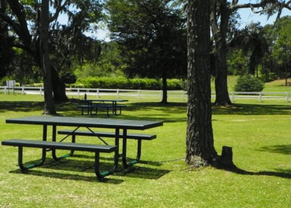 picnic benches in a park