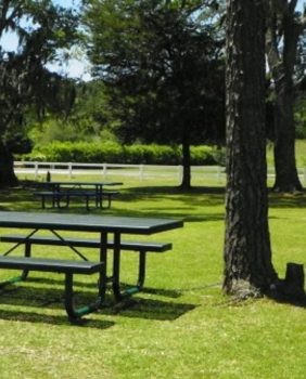picnic table in park