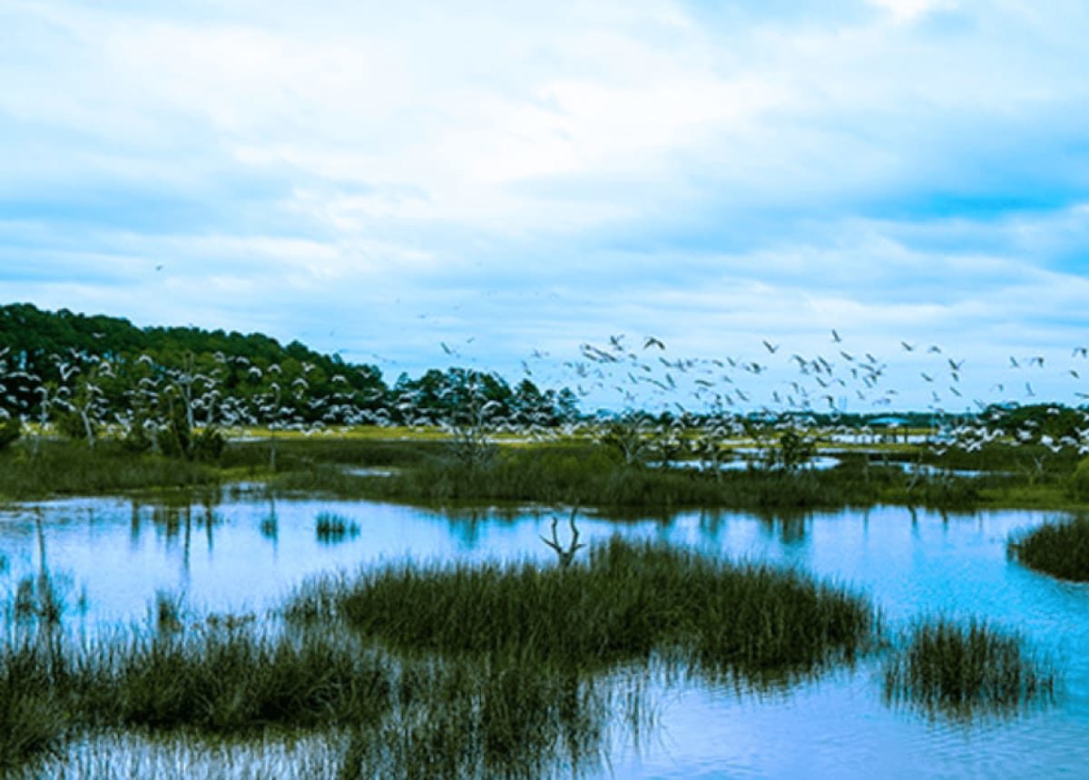 Safe Harbor Port Royal Safe Harbor Marinas