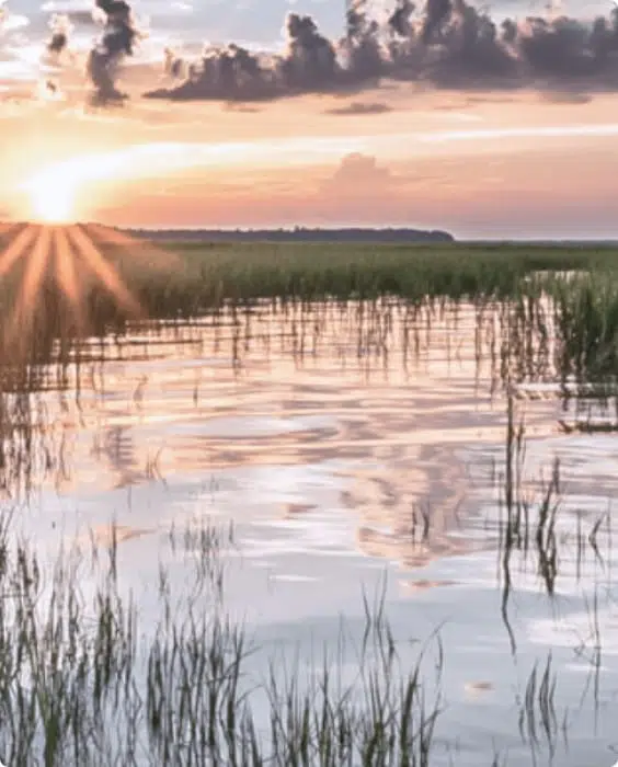 Safe Harbor Port Royal Safe Harbor Marinas