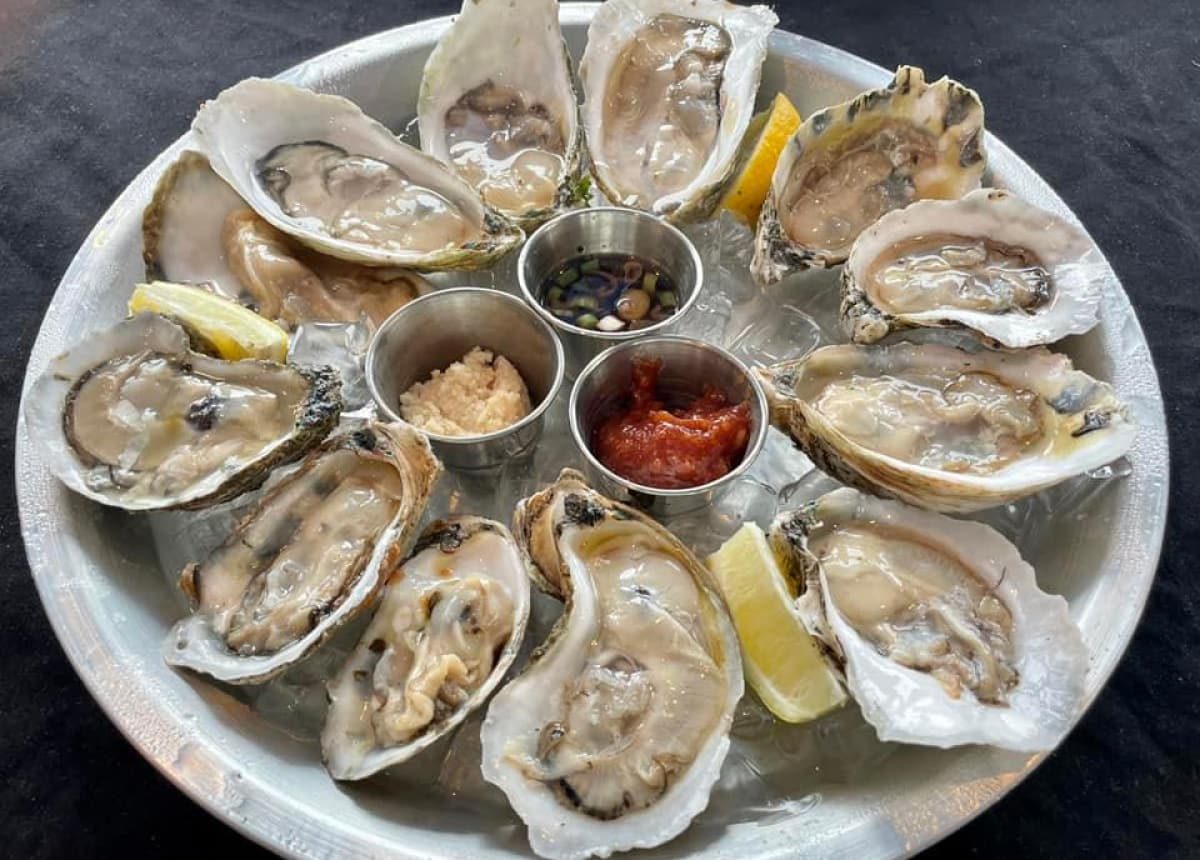 Safe Harbor South Harbour Village Safe Harbor Marinas