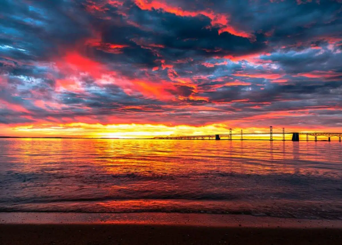 Safe Harbor Podickory Point Safe Harbor Marinas