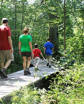 a family walking on a wood path with trees around it