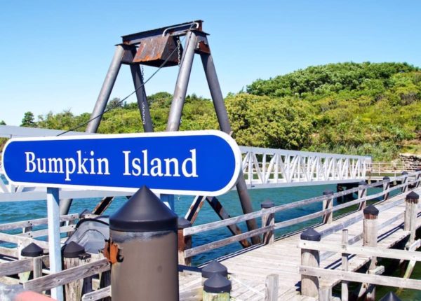 bumpkin island sign