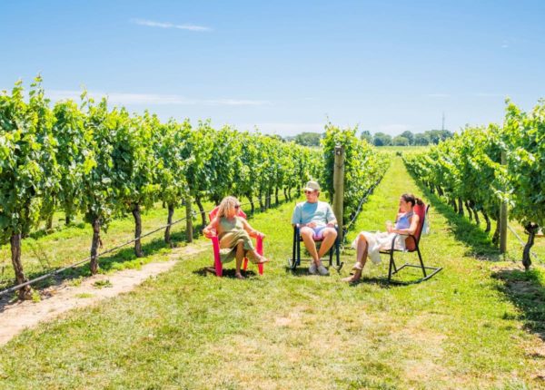3 people sitting in front of a vineyard
