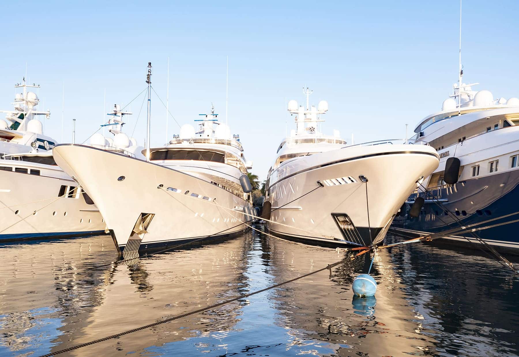 yachts docked next to each other