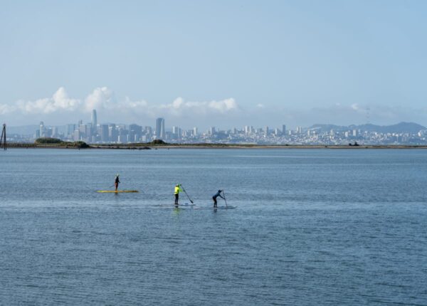 people paddle boarding with skyline in the background