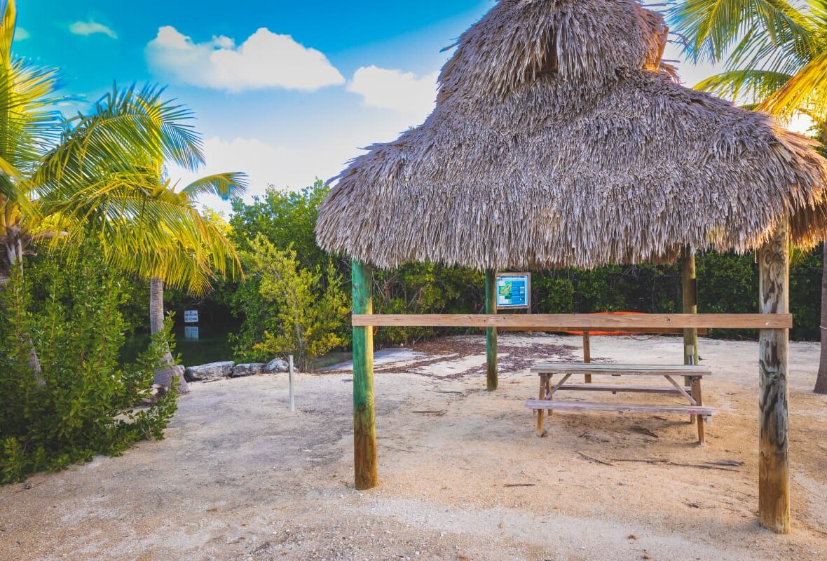 tiki hut with palm trees and a picnic table