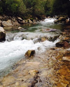 creek with rushing water