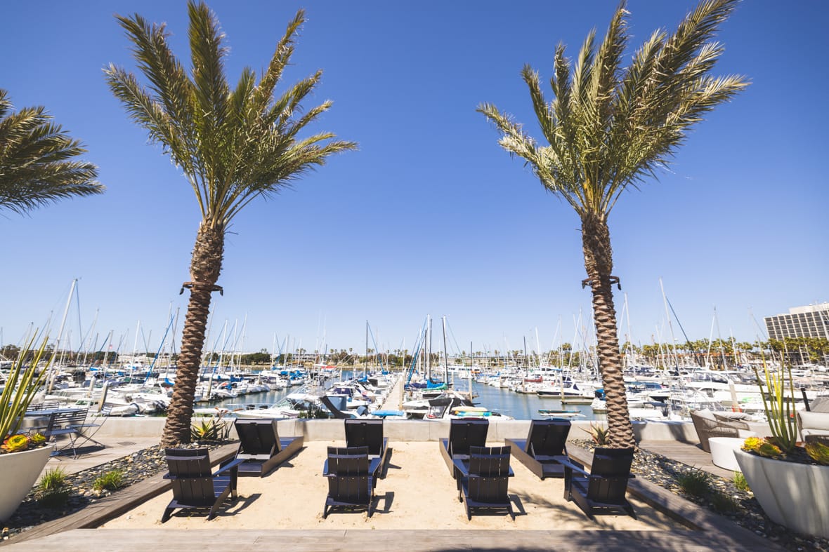 outdoor lounge recliners on a deck with two large palm trees overlooking marina