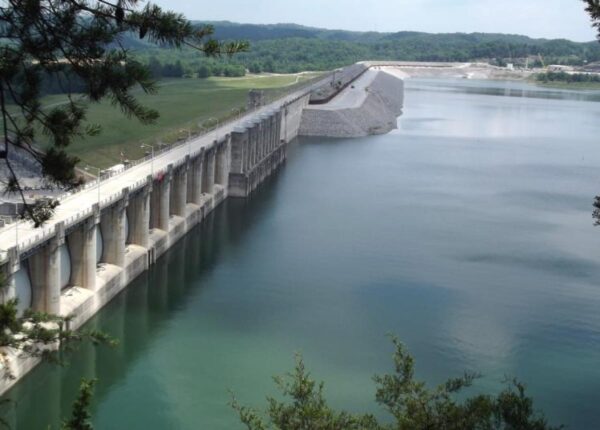 dam with water and green trees